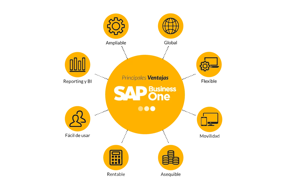 imagen-SAP-2